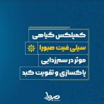 کمپلکس پاکسازی و تقویت کبد سیلی فیت صبورا - تصویر 2