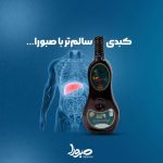 کمپلکس پاکسازی و تقویت کبد سیلی فیت صبورا - تصویر 4