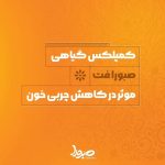 کمپلکس کاهش چربی خون صبورا فت - تصویر 2