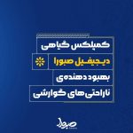 کمپلکس بهبود ناراحتی های گوارشی دیجی فیل صبورا - تصویر 2