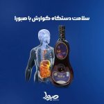 کمپلکس بهبود ناراحتی های گوارشی دیجی فیل صبورا - تصویر 4